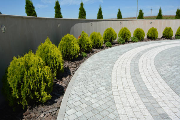 Best Driveway Repair Near Me  in Countryside, IL